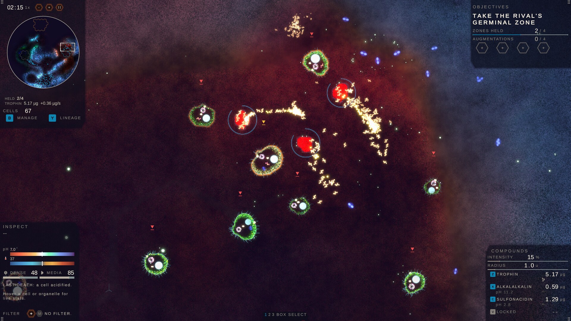 Substrate: Emergence official screenshot showing fluorescent cell colonies in a dish